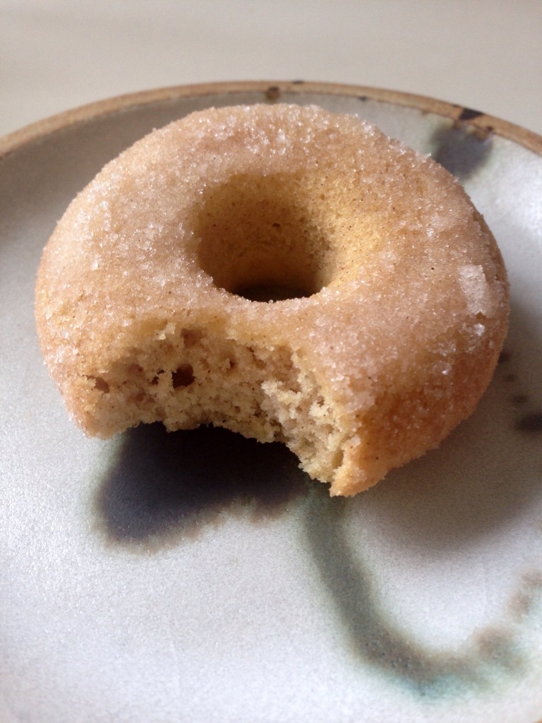dairy-free sugar coated donut