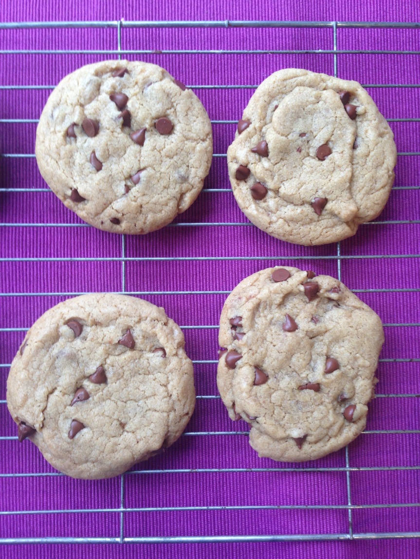 nut-free vegan chocolate chip cookies